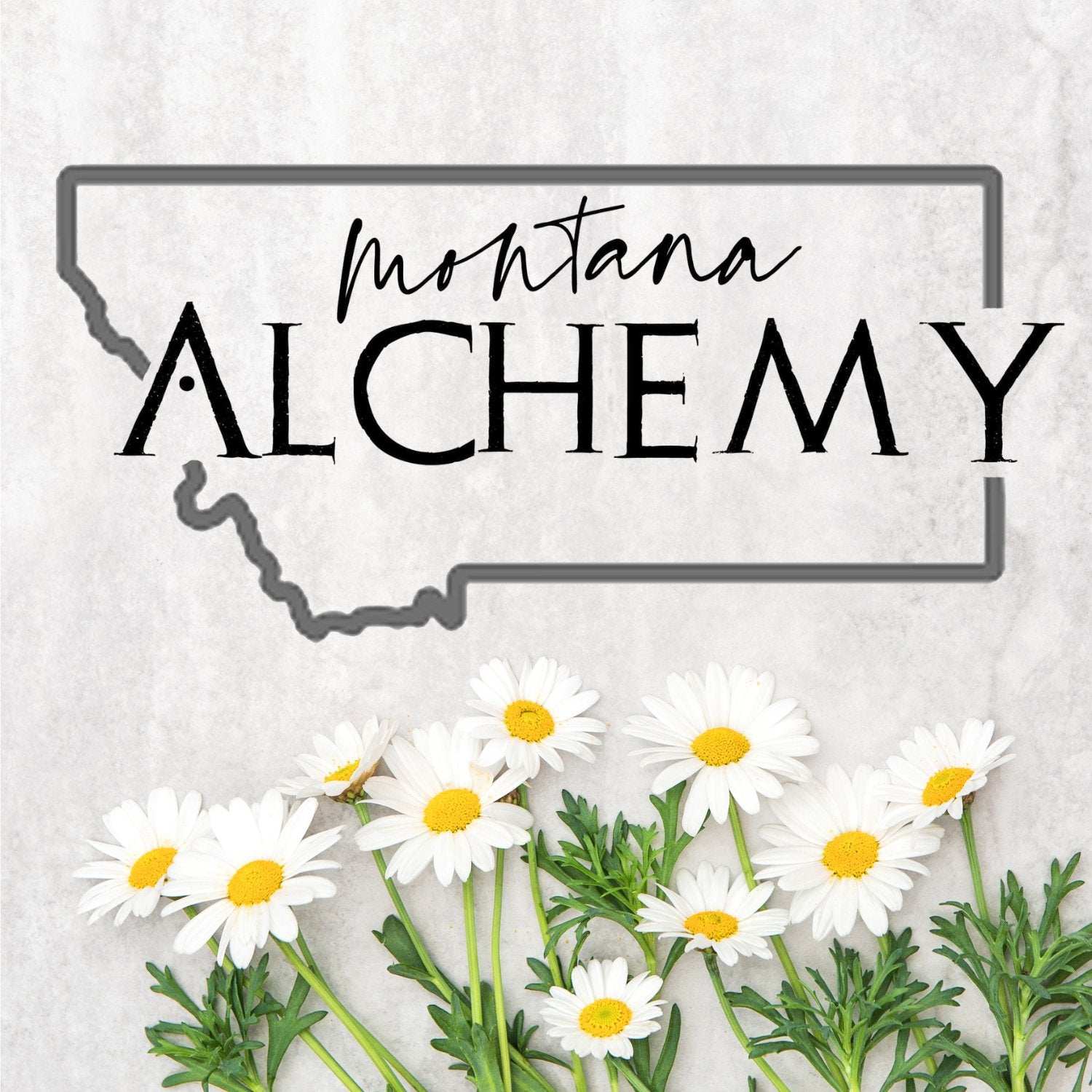 Lindsay Mena - Montana Alchemy